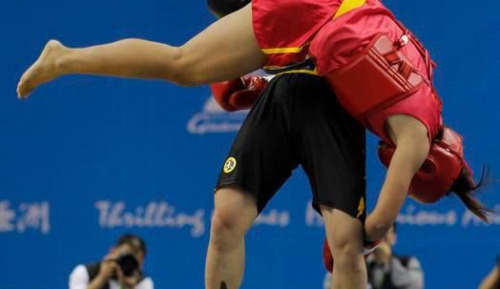 Wushu